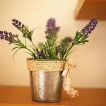 Apartment Slanica-murter